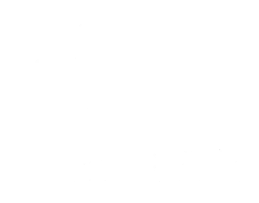 DatenReich Logo